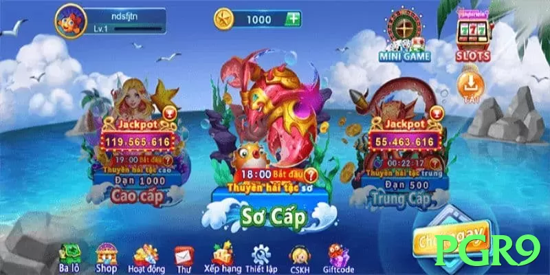 pgr9 no Brasil: Análise Completa e Recomendações - pak